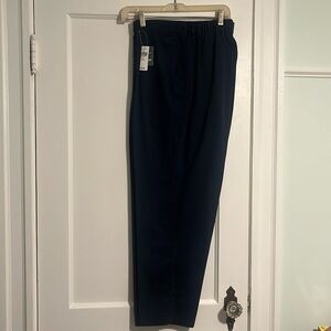L.L. Bean pleated cotton pants, elastic waist, back only